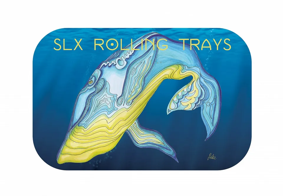 slx-non-stick-trays-grand-couvercle-magn-tique-blue-whale image 1